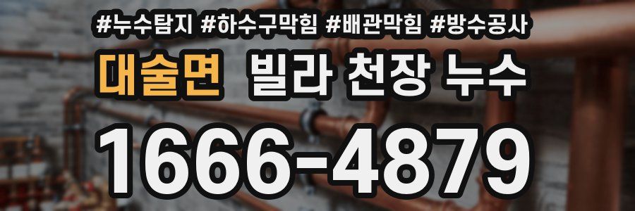대술면 빌라 천장 누수