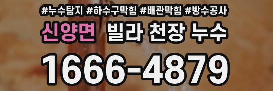신양면 빌라 천장 누수