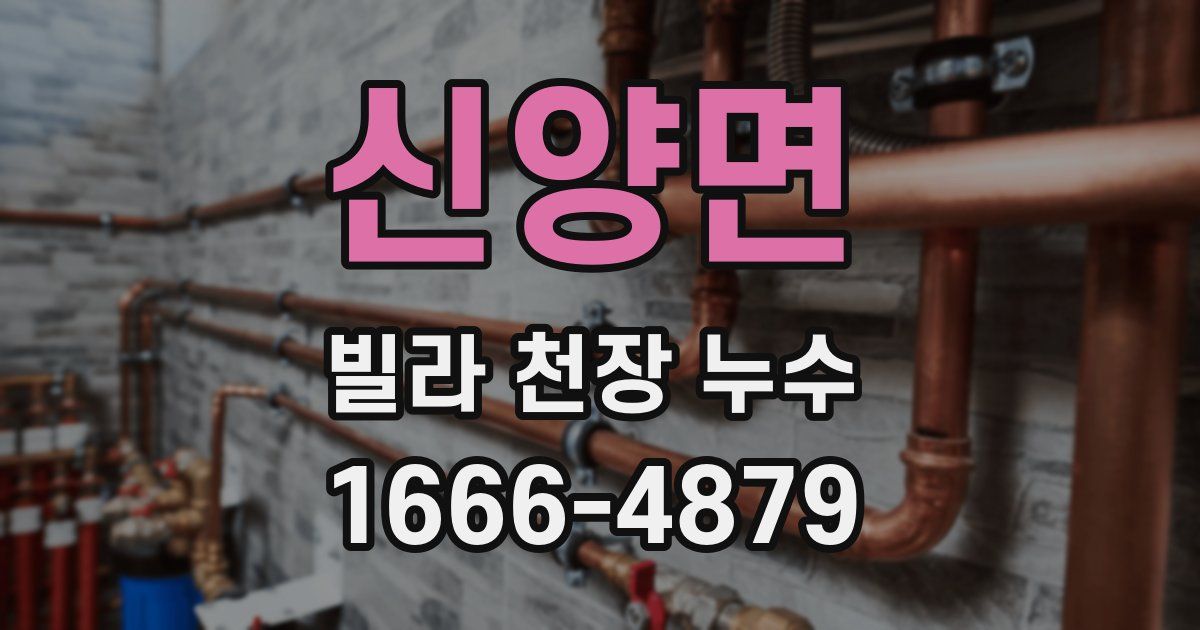 신양면 빌라 천장 누수