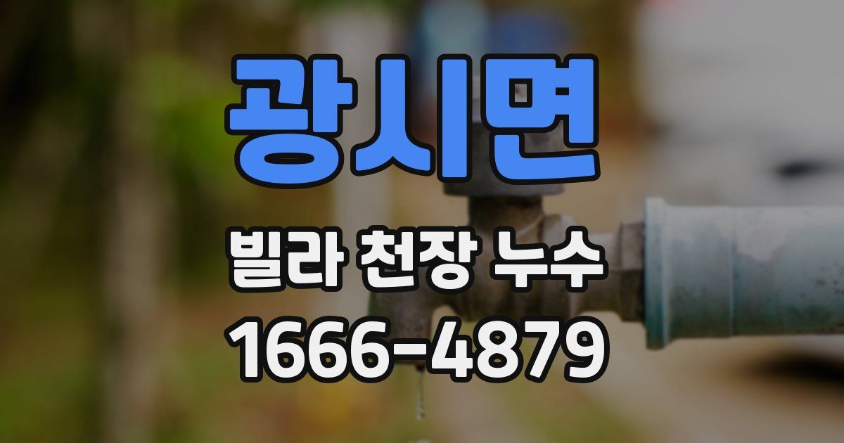 광시면 빌라 천장 누수