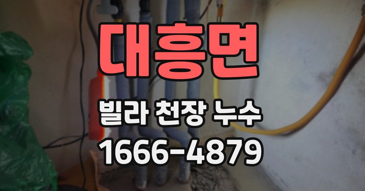 대흥면 빌라 천장 누수