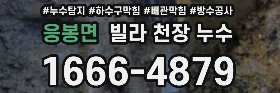 응봉면 빌라 천장 누수