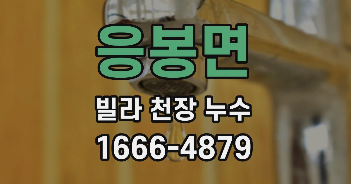 응봉면 빌라 천장 누수