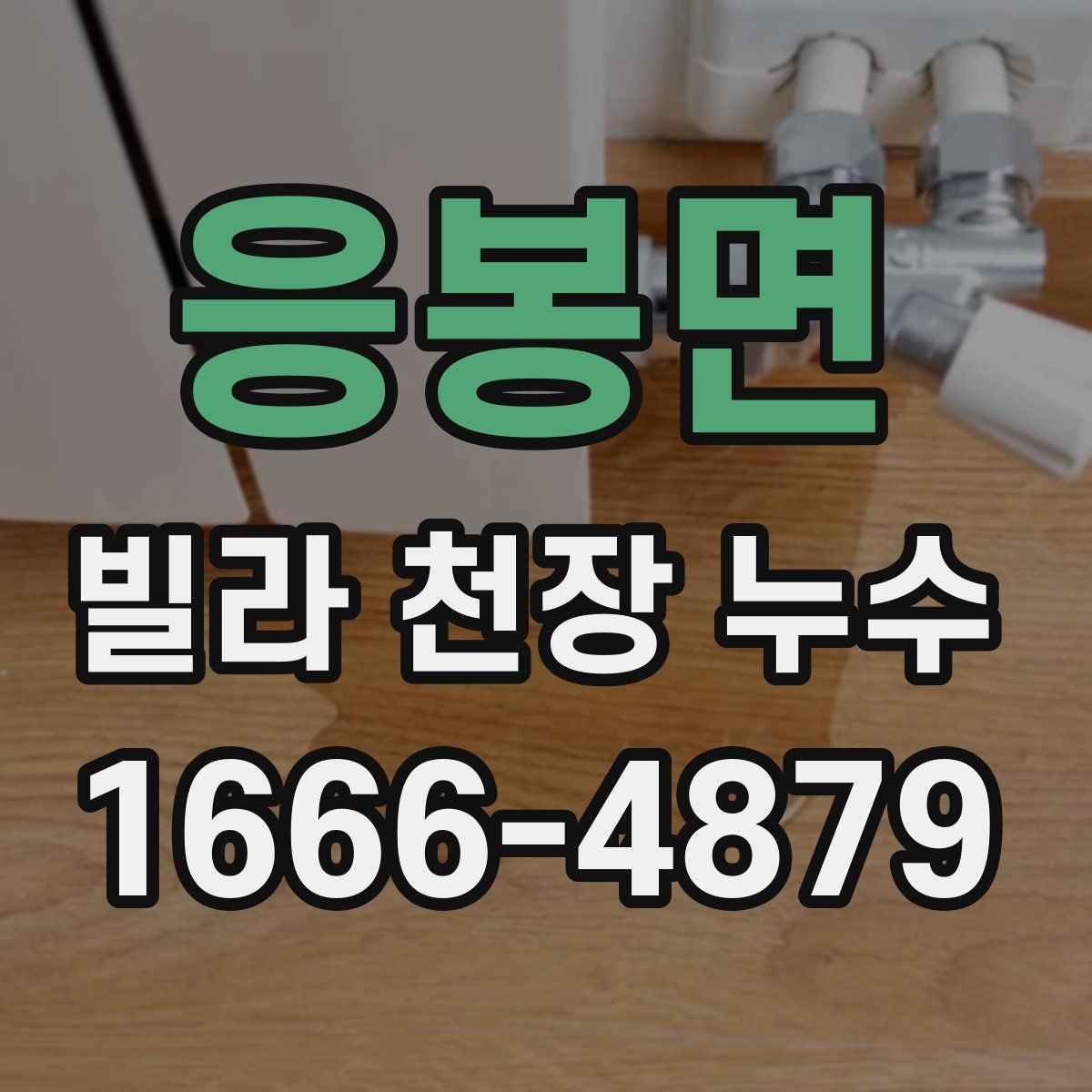 응봉면 빌라 천장 누수