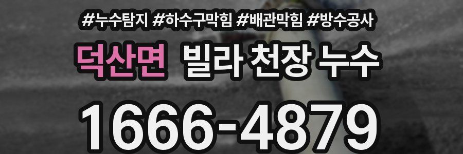 덕산면 빌라 천장 누수