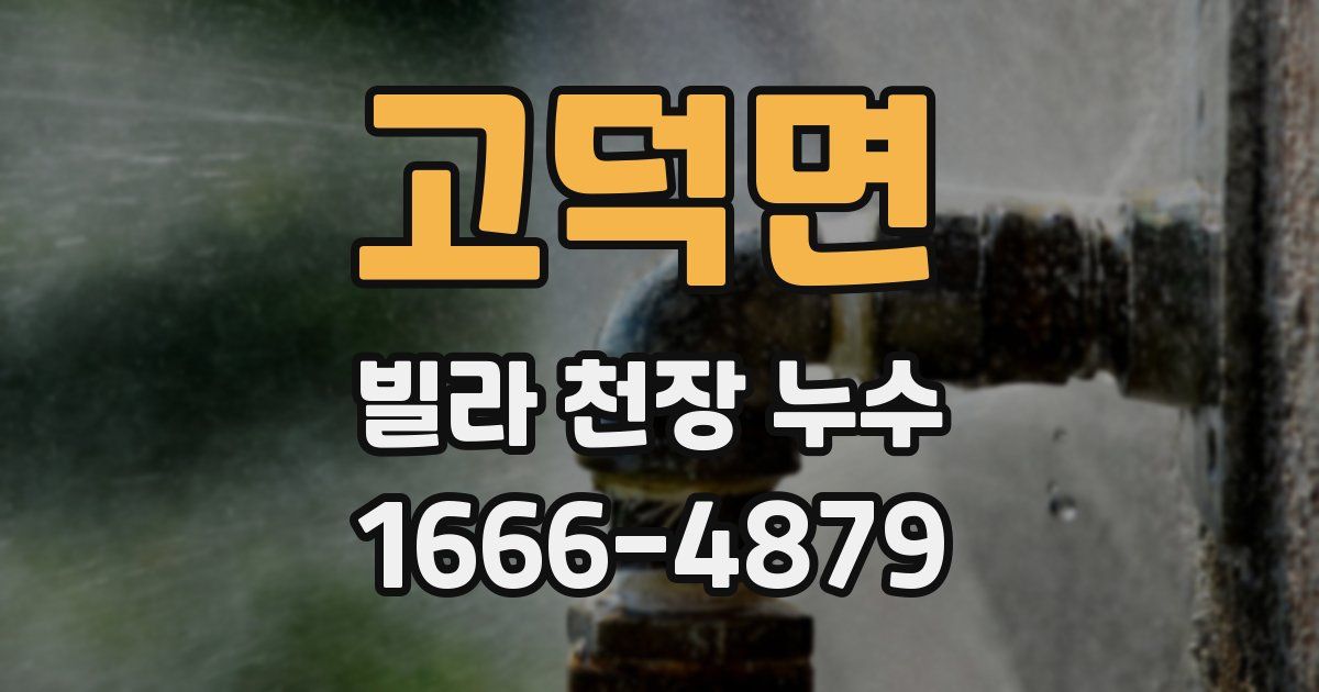 고덕면 빌라 천장 누수