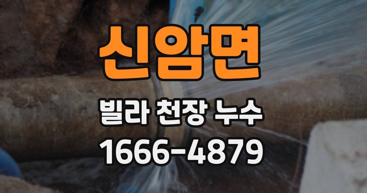 신암면 빌라 천장 누수