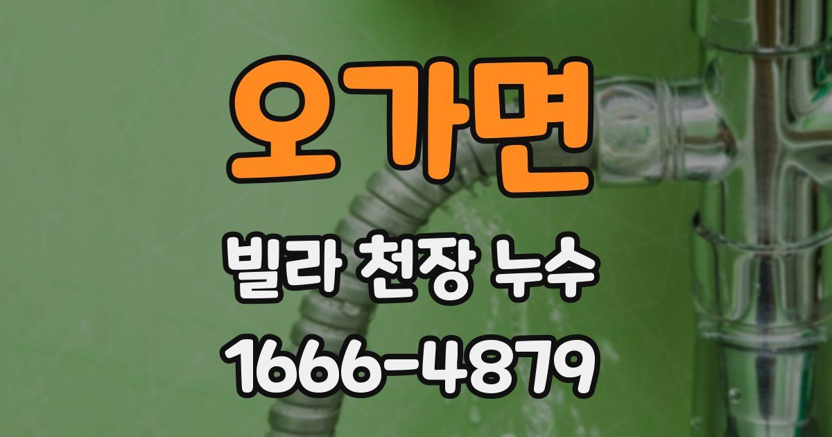 오가면 빌라 천장 누수