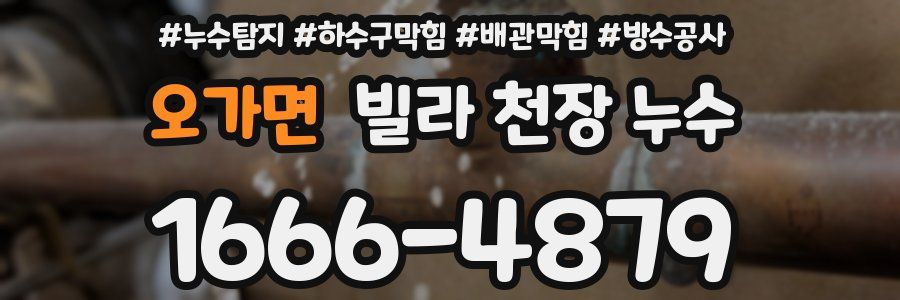 오가면 빌라 천장 누수