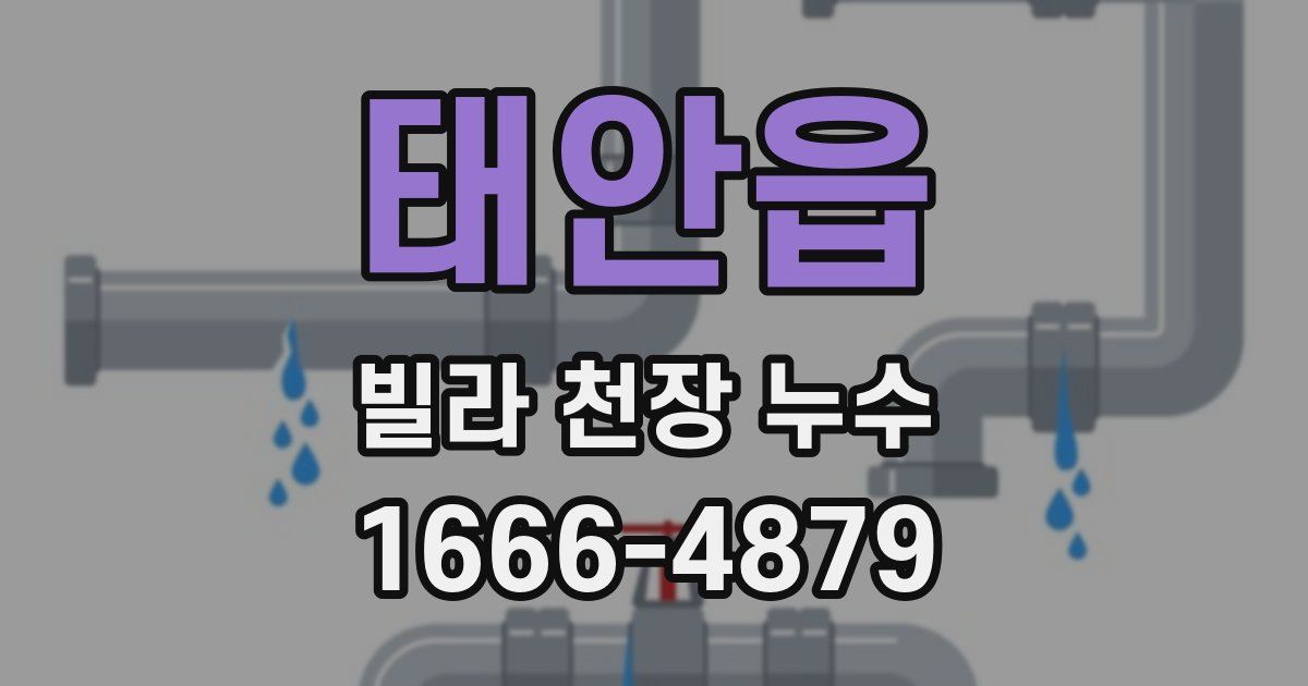 태안읍 빌라 천장 누수