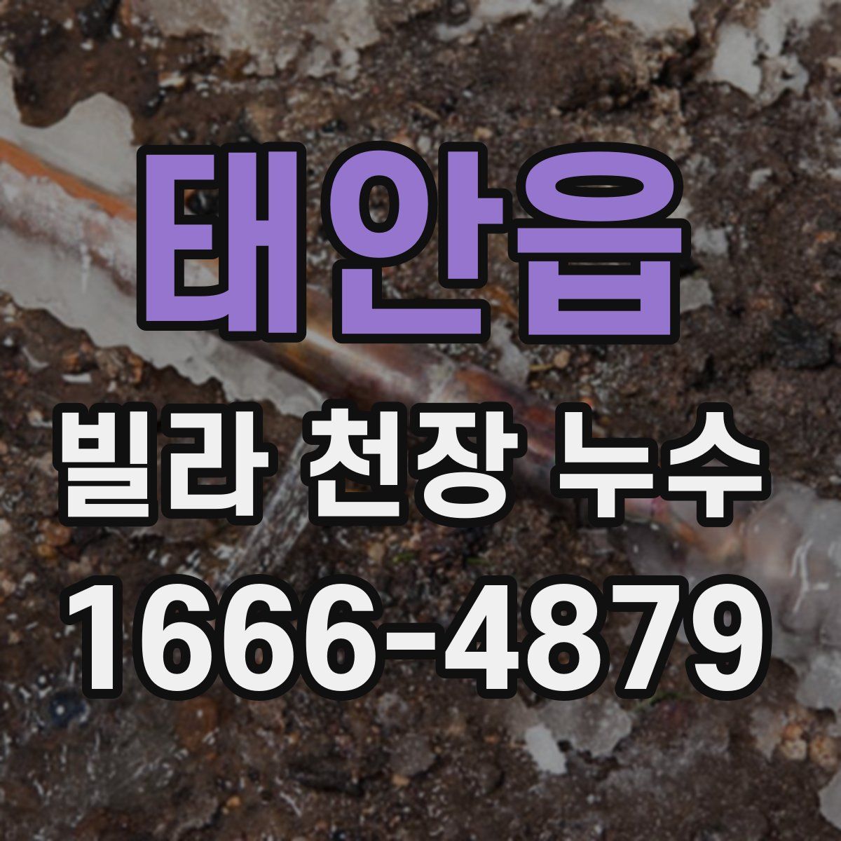 태안읍 빌라 천장 누수