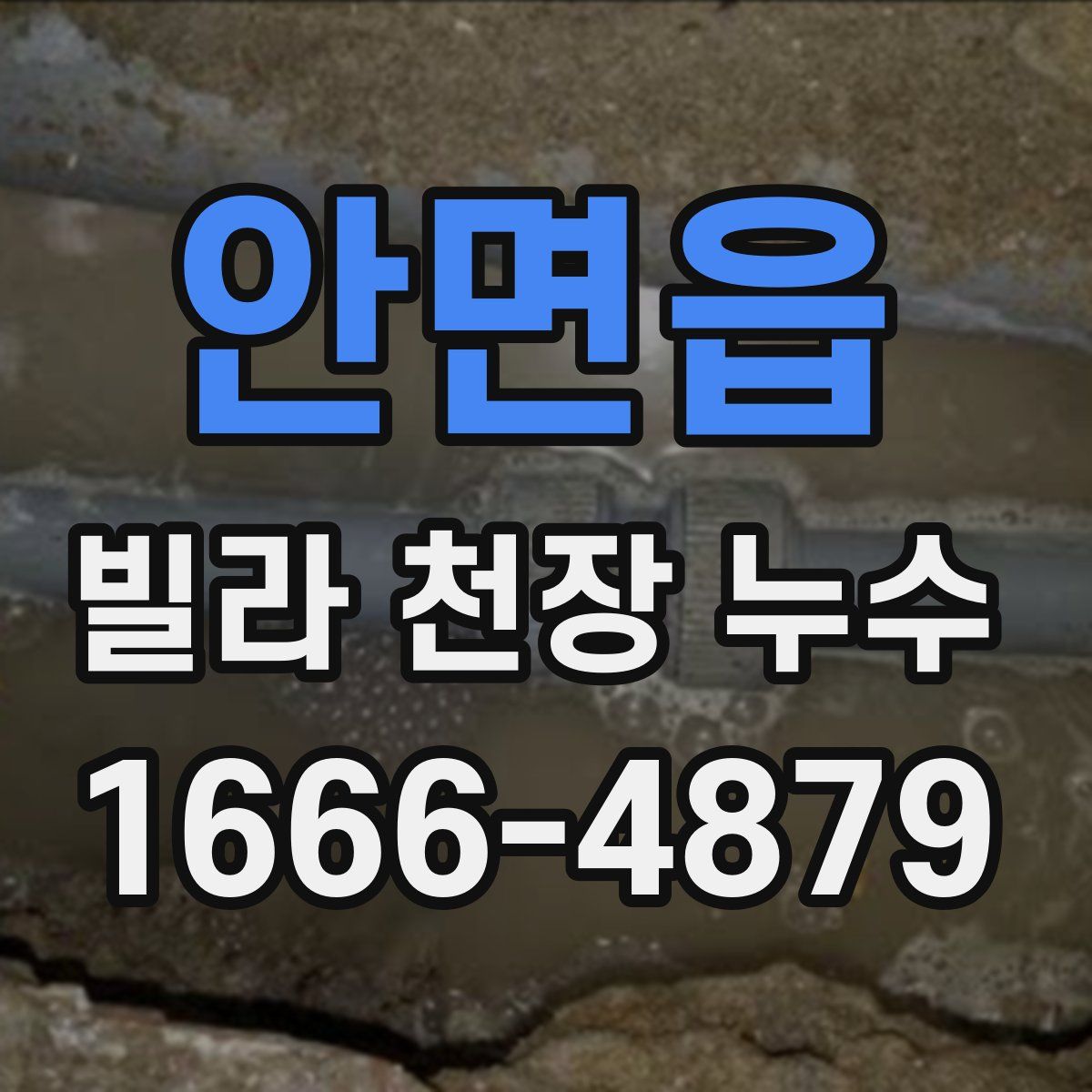 안면읍 빌라 천장 누수