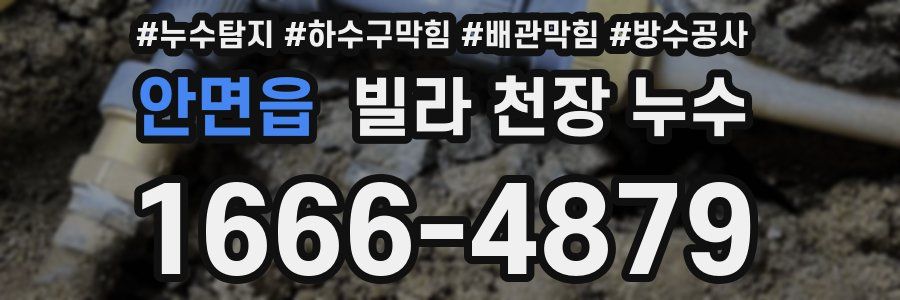 안면읍 빌라 천장 누수