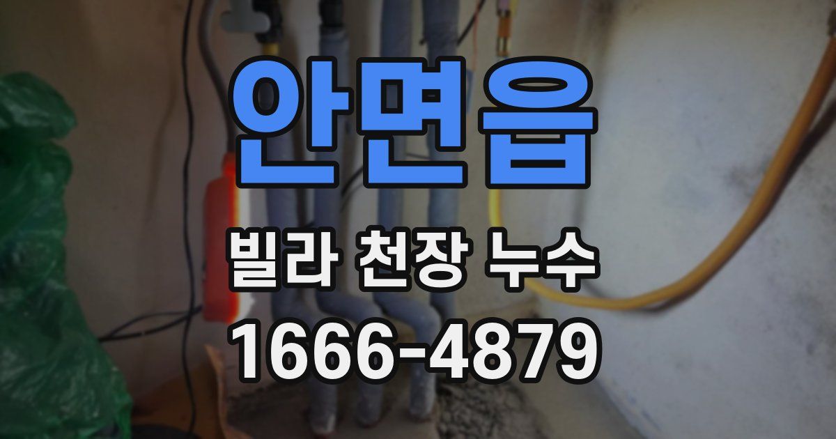 안면읍 빌라 천장 누수