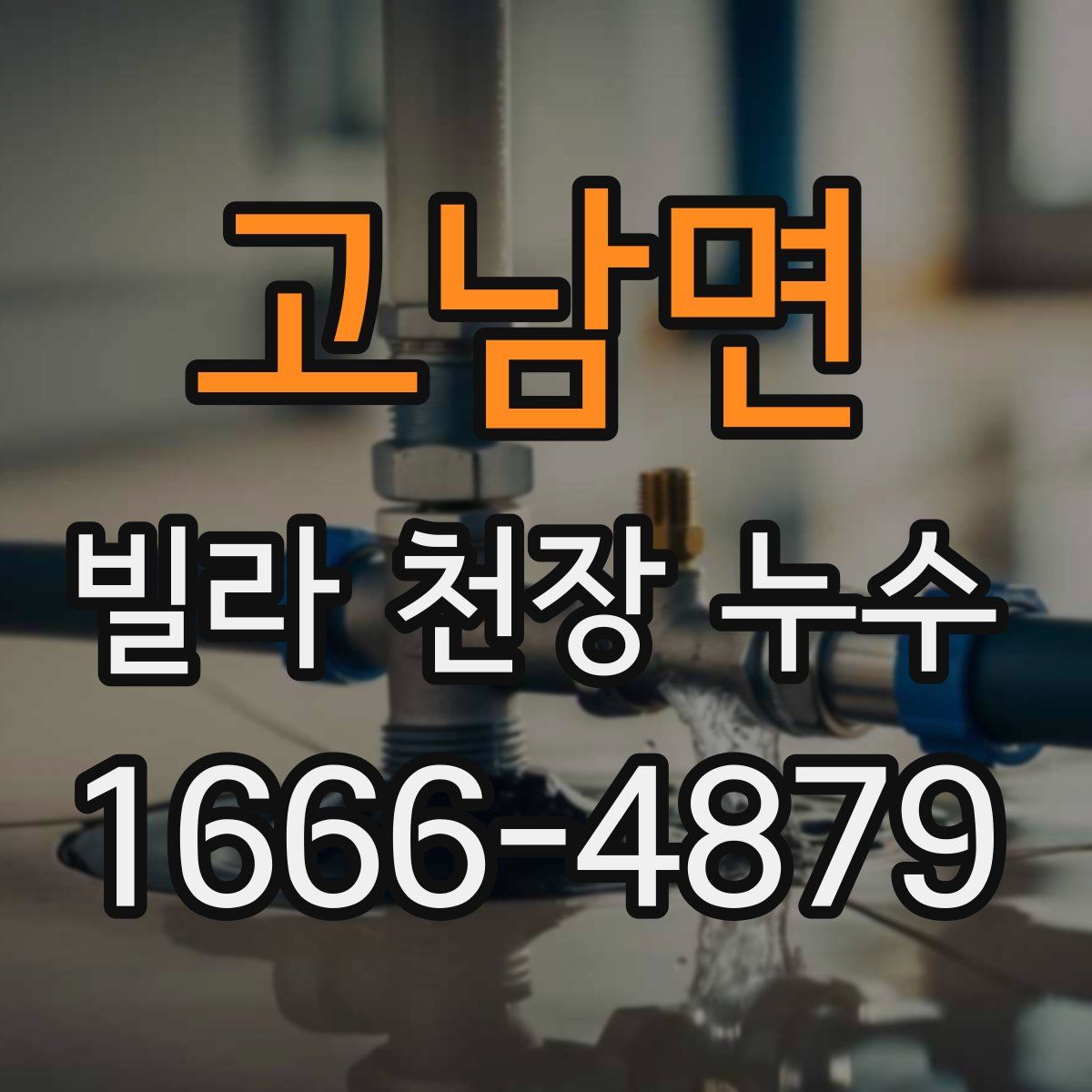 고남면 빌라 천장 누수