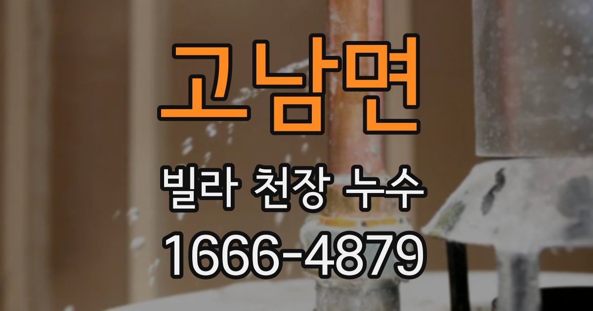 고남면 빌라 천장 누수