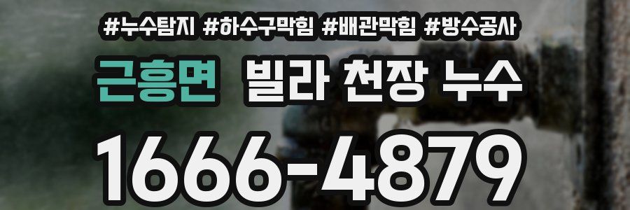 근흥면 빌라 천장 누수