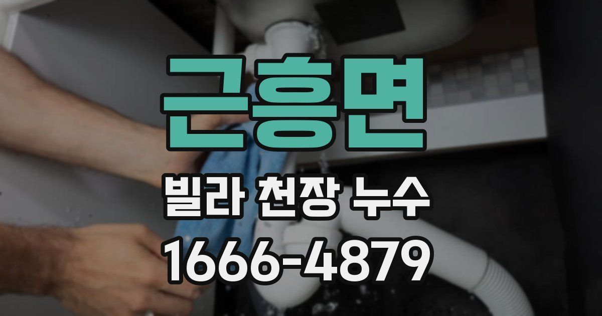 근흥면 빌라 천장 누수