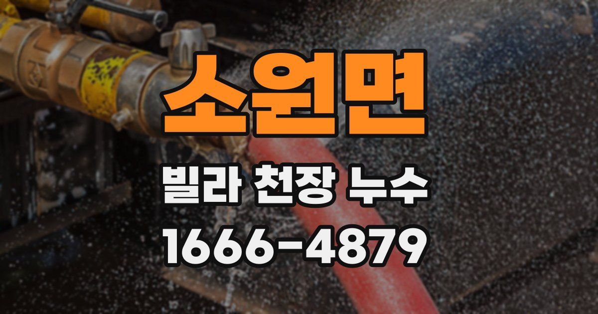 소원면 빌라 천장 누수