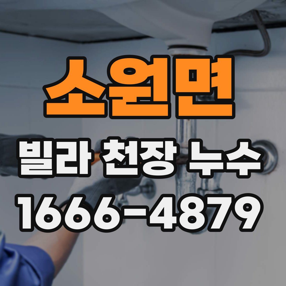 소원면 빌라 천장 누수
