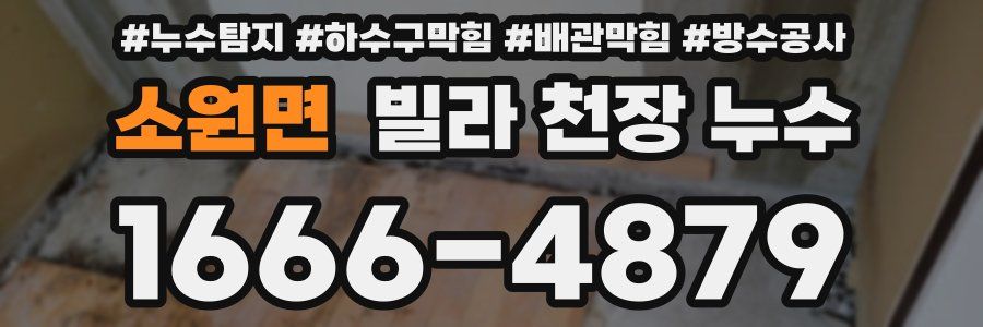 소원면 빌라 천장 누수
