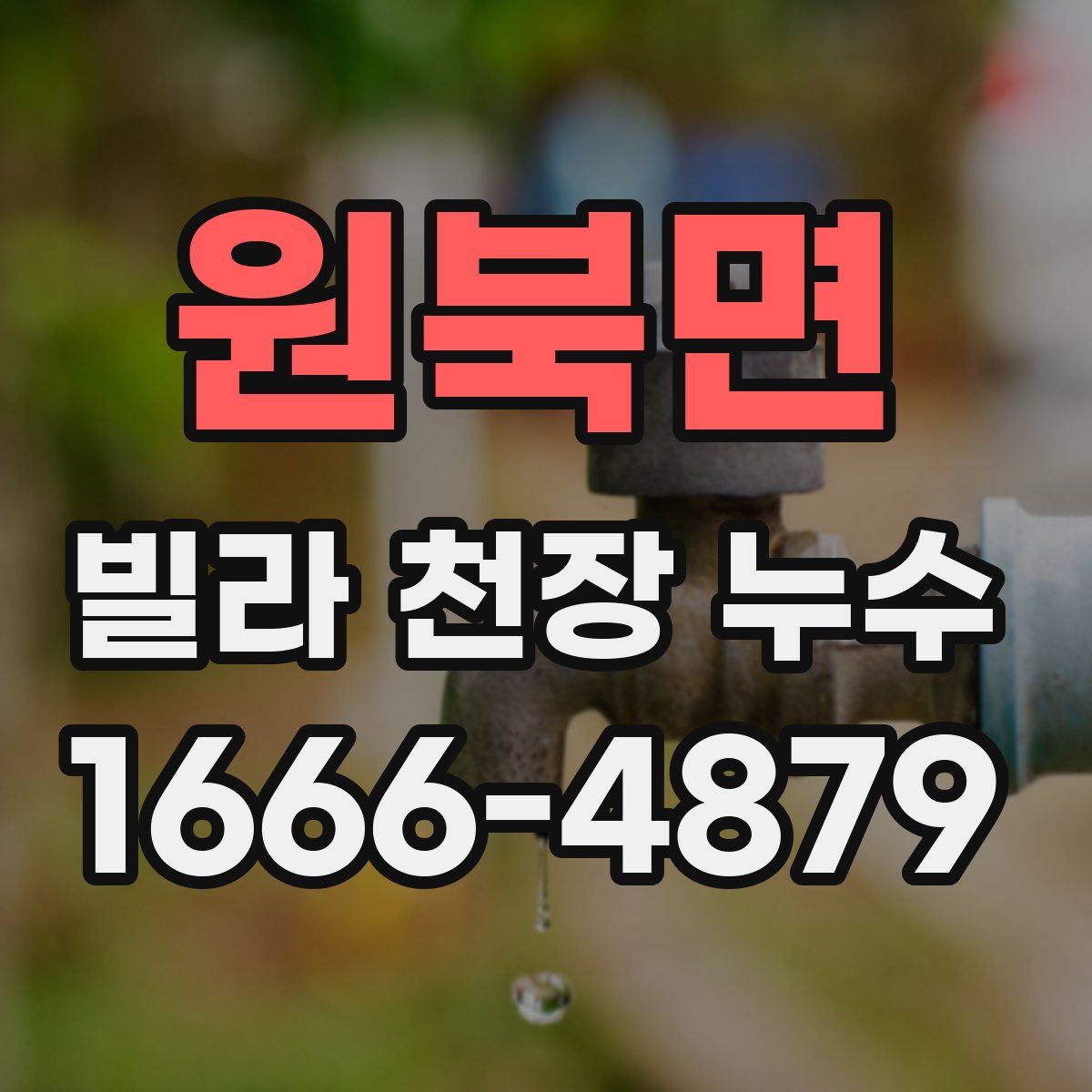 원북면 빌라 천장 누수