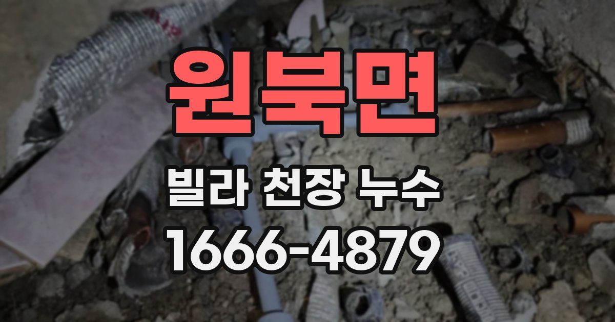 원북면 빌라 천장 누수