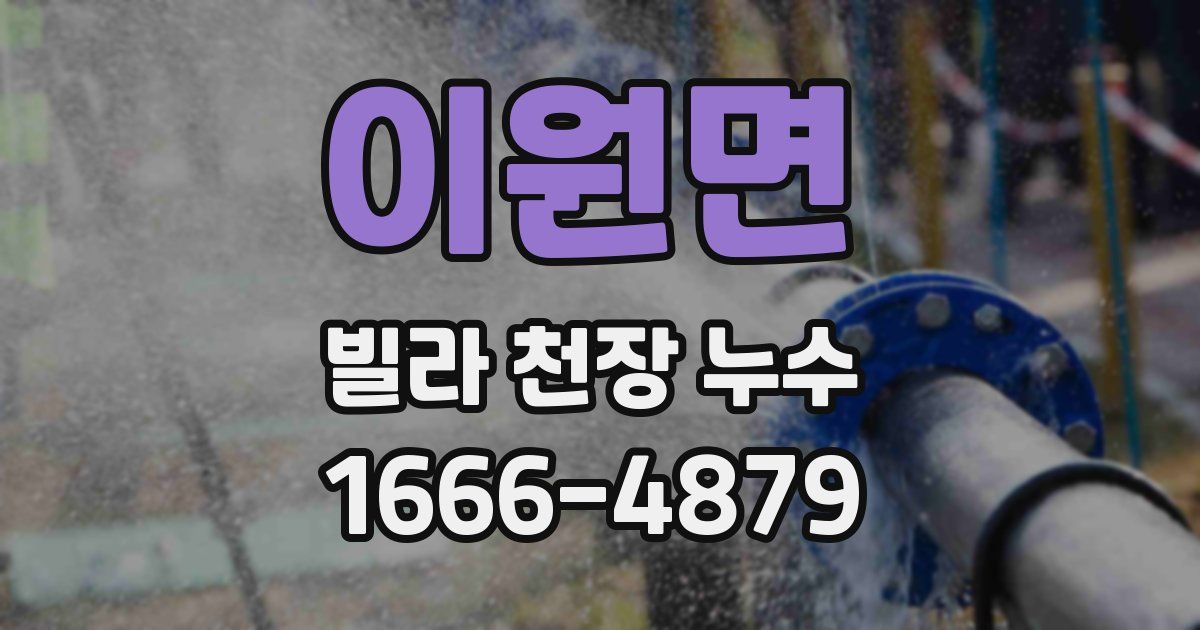 이원면 빌라 천장 누수