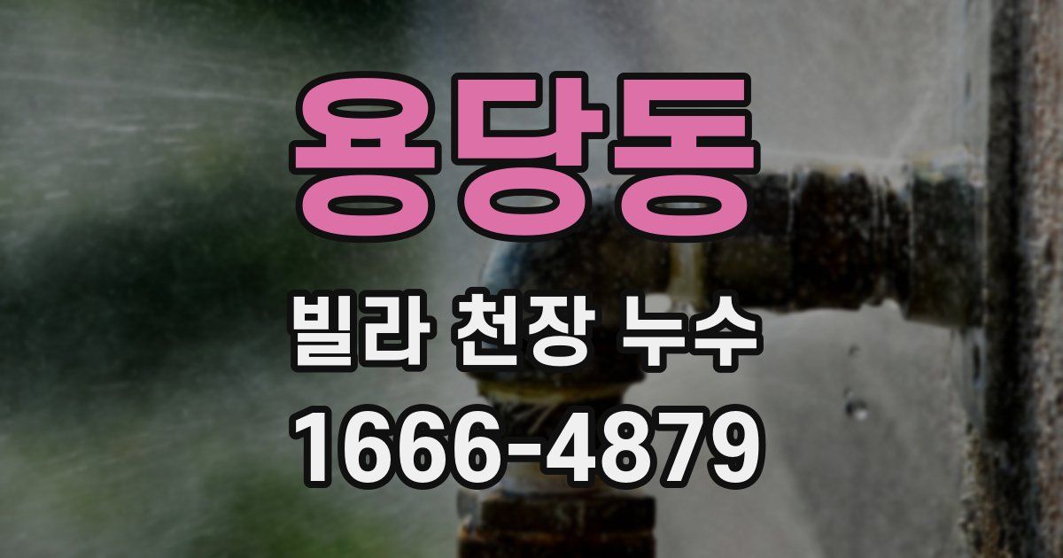 용당동 빌라 천장 누수