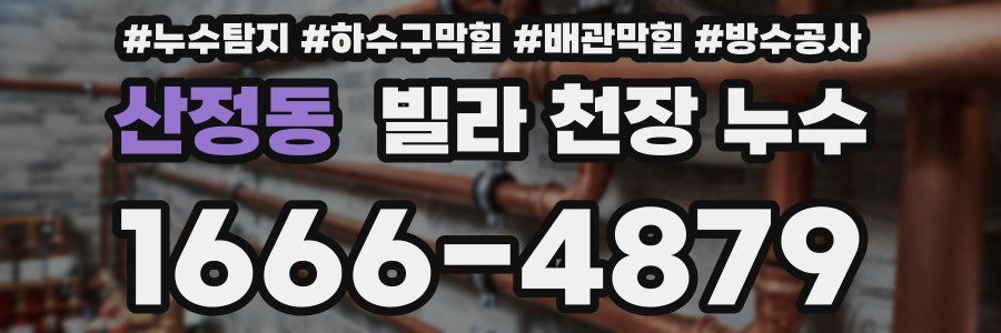 산정동 빌라 천장 누수