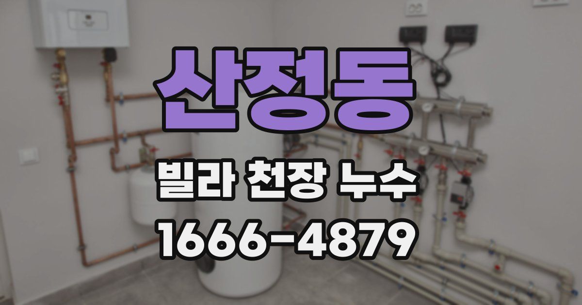 산정동 빌라 천장 누수