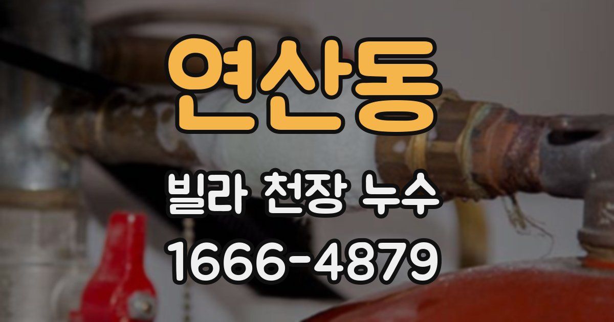 연산동 빌라 천장 누수