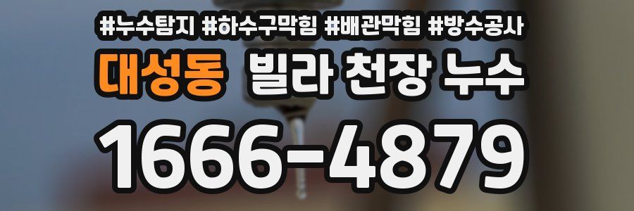 대성동 빌라 천장 누수