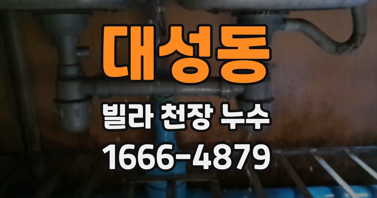 대성동 빌라 천장 누수