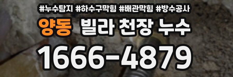 양동 빌라 천장 누수