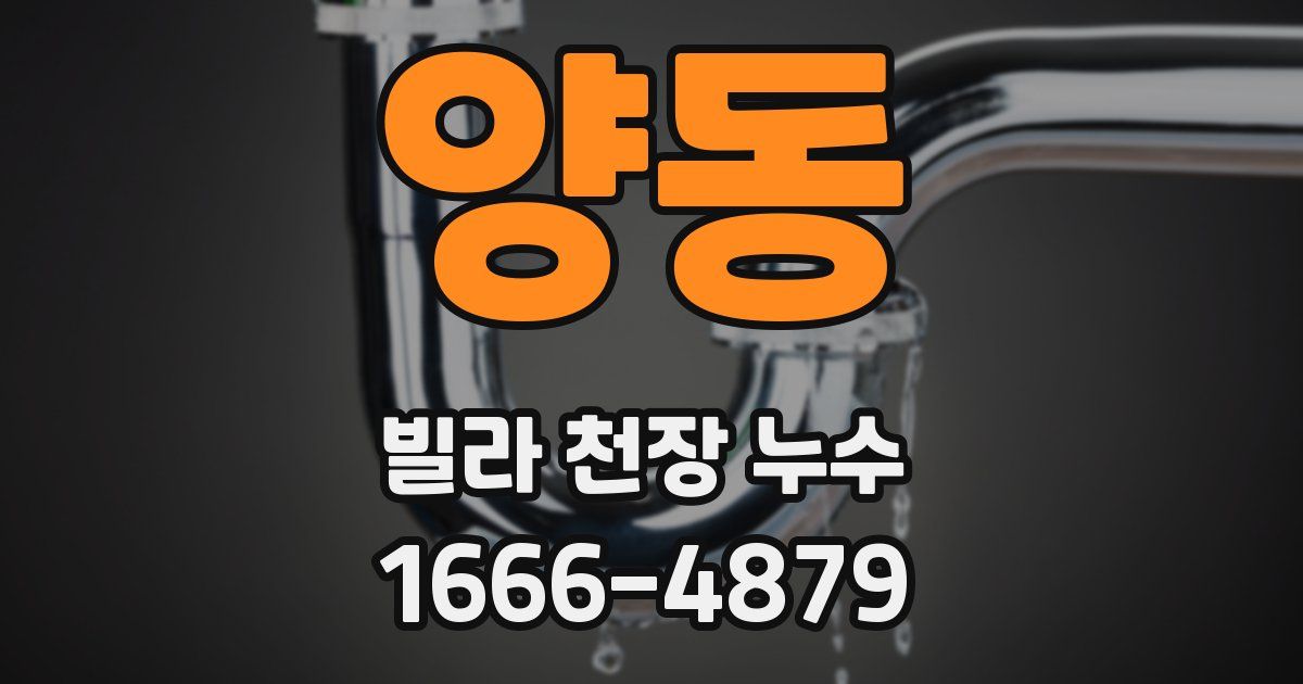 양동 빌라 천장 누수