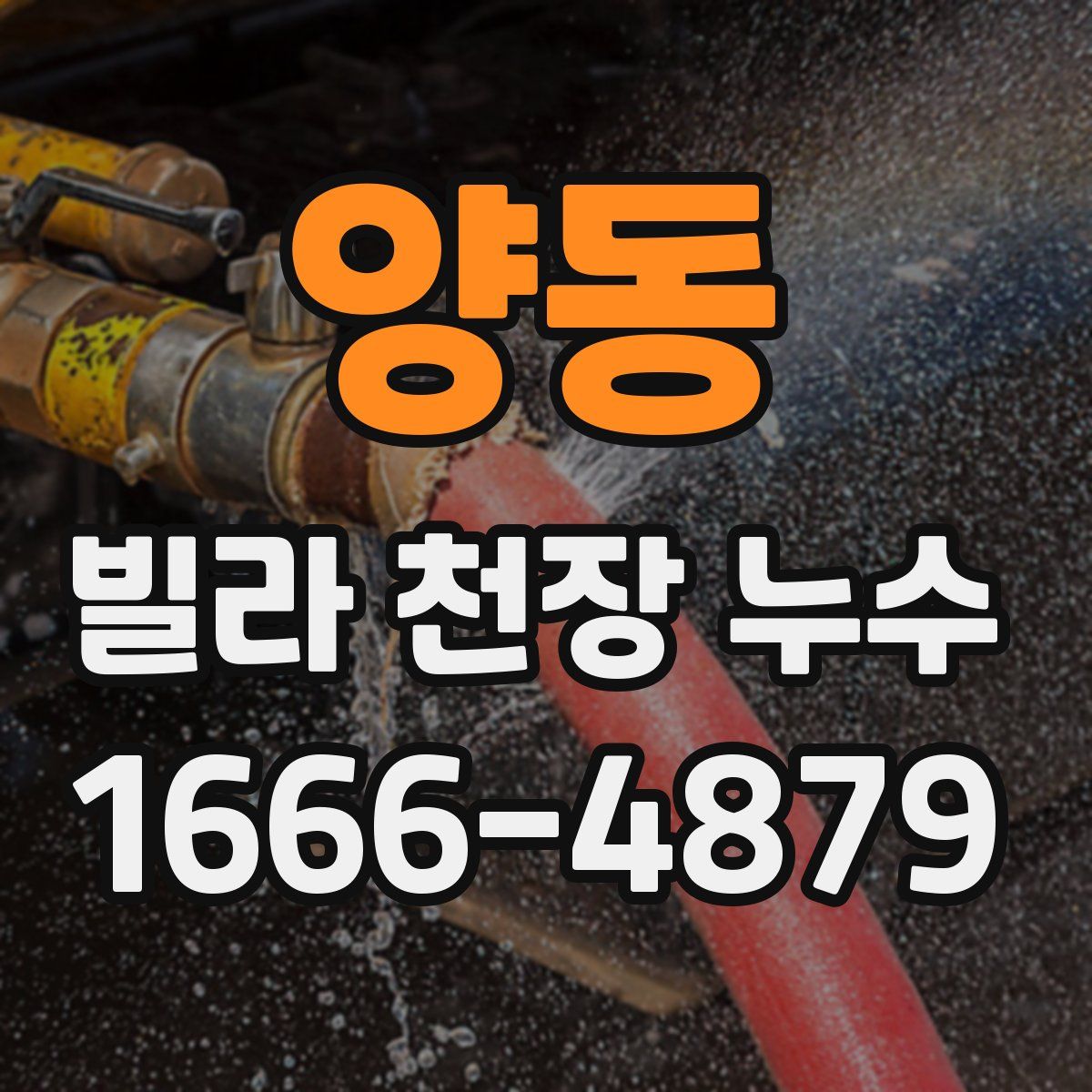 양동 빌라 천장 누수