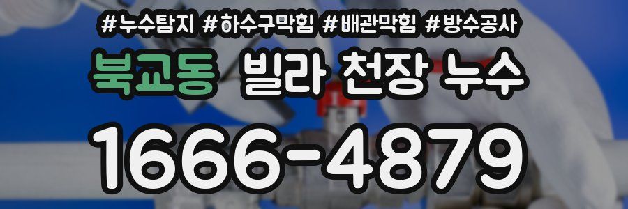 북교동 빌라 천장 누수