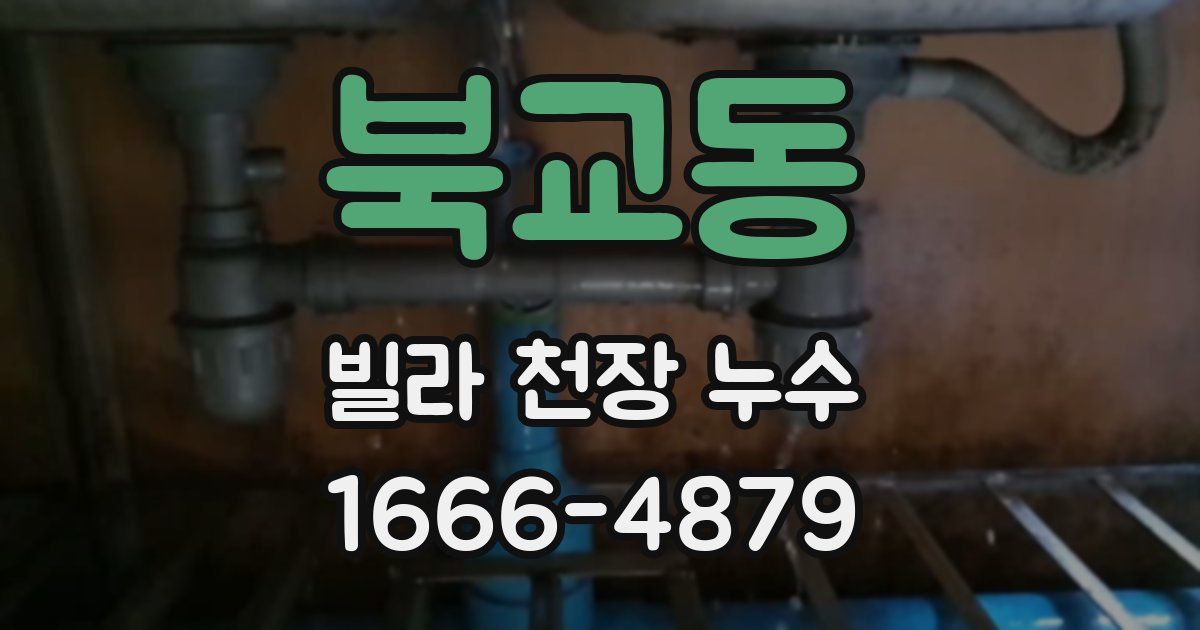 북교동 빌라 천장 누수