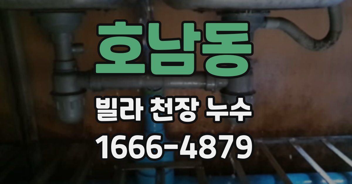 호남동 빌라 천장 누수