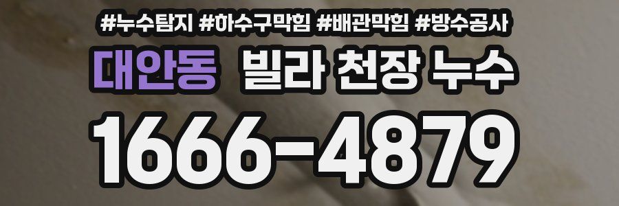 대안동 빌라 천장 누수