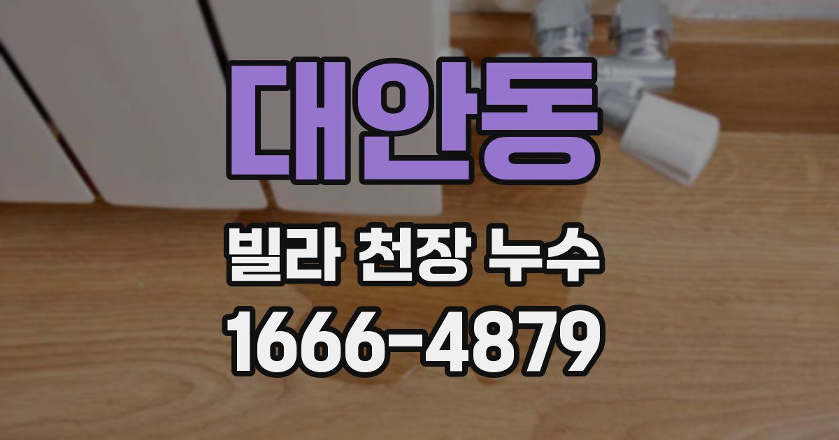 대안동 빌라 천장 누수