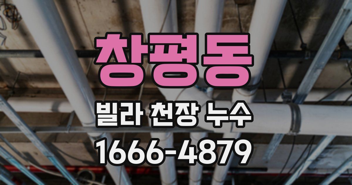 창평동 빌라 천장 누수