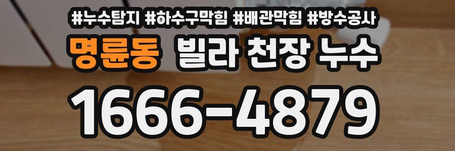 명륜동 빌라 천장 누수