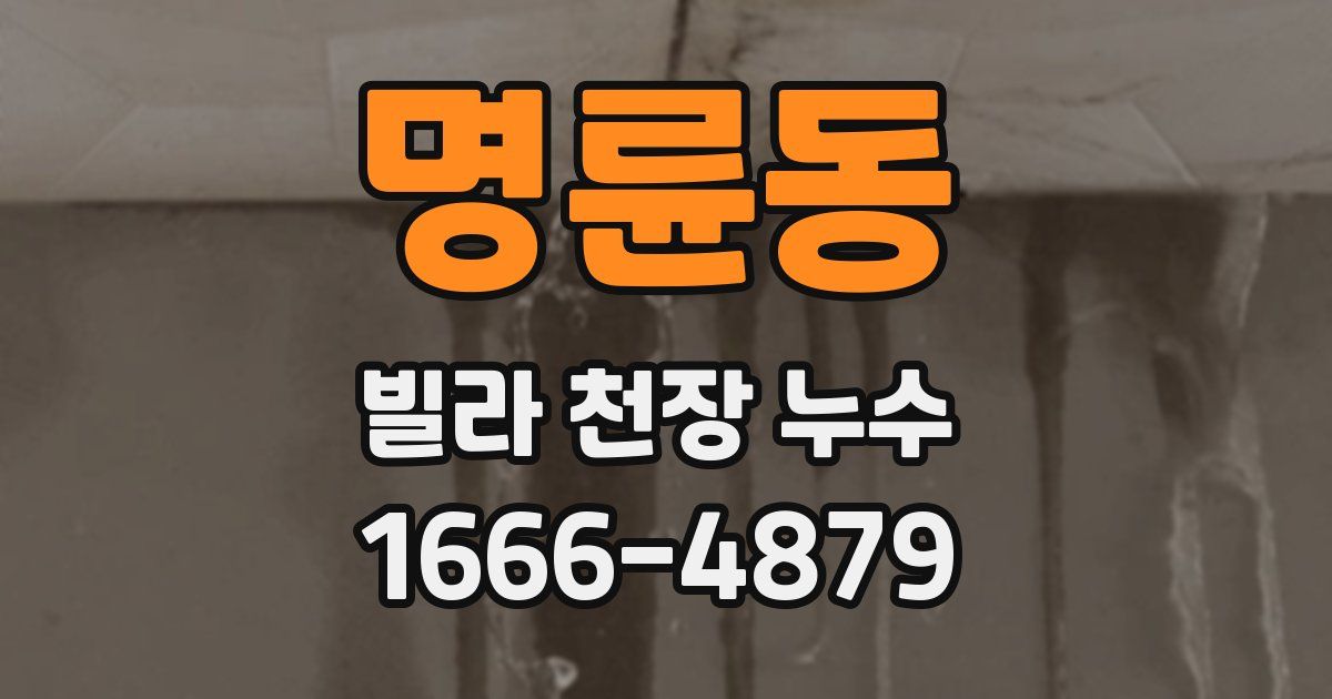 명륜동 빌라 천장 누수