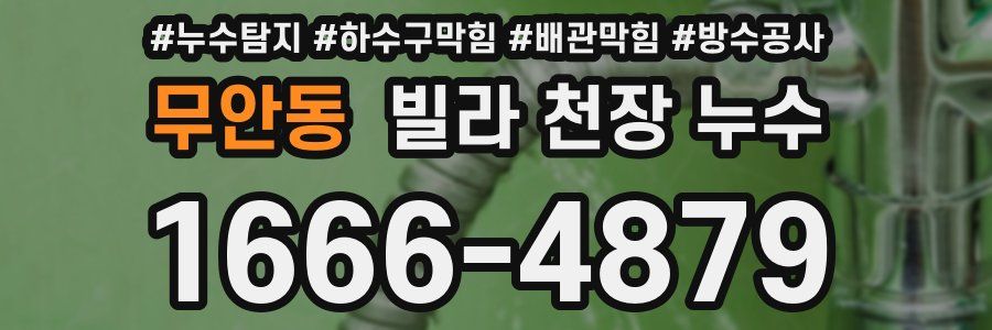 무안동 빌라 천장 누수