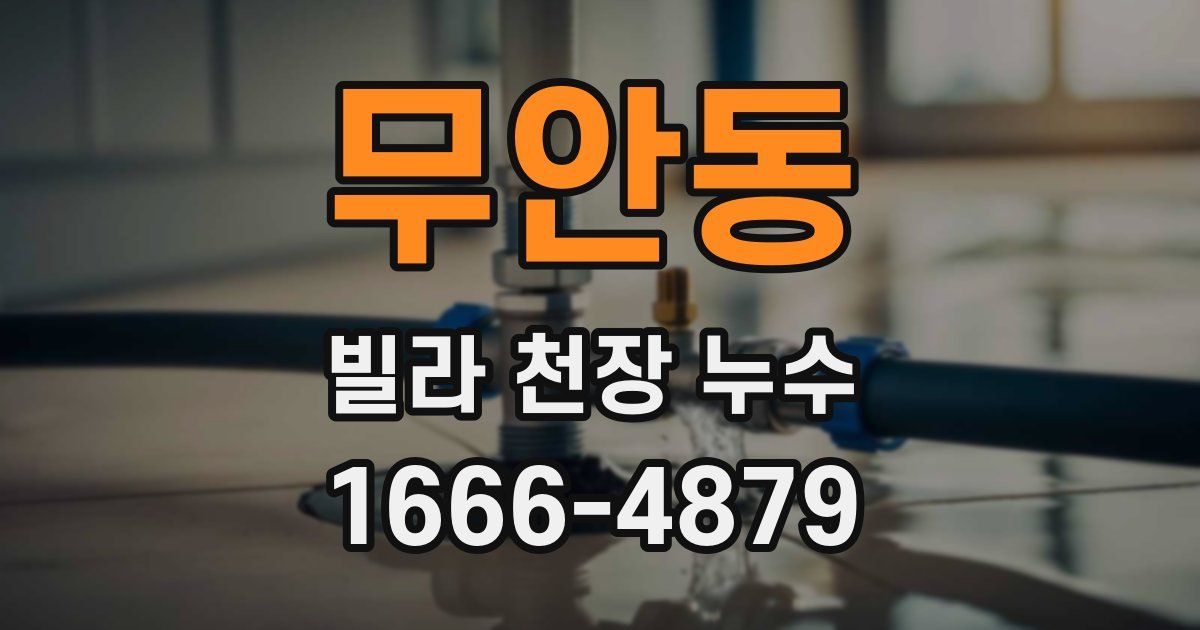 무안동 빌라 천장 누수