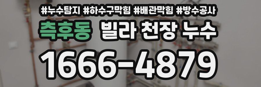 측후동 빌라 천장 누수