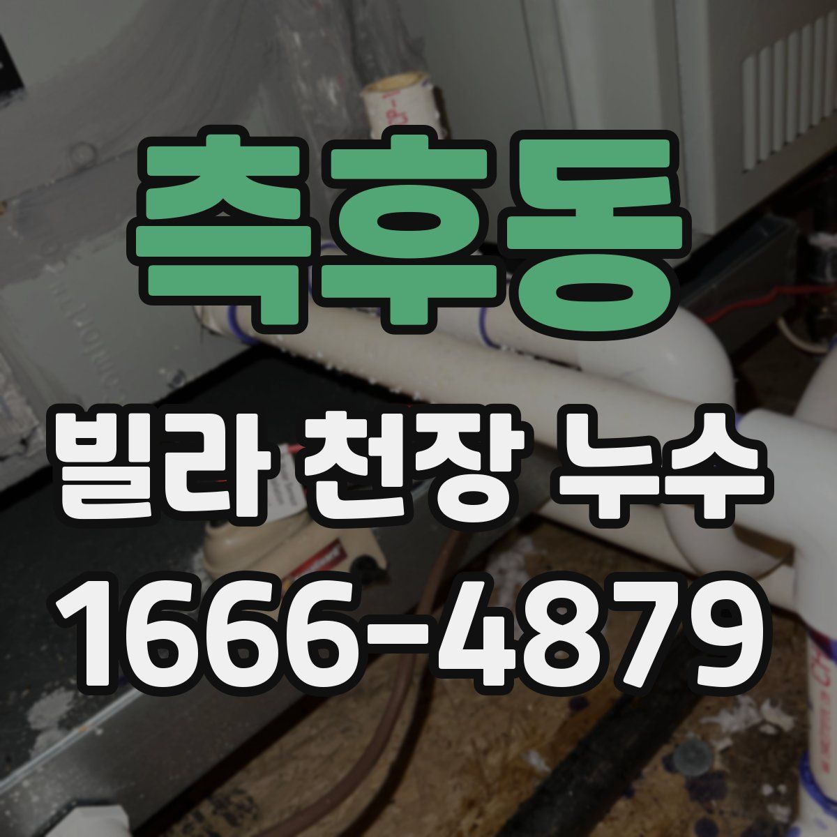 측후동 빌라 천장 누수
