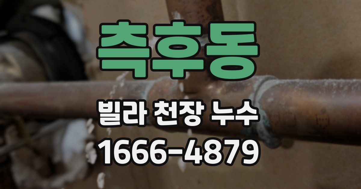 측후동 빌라 천장 누수